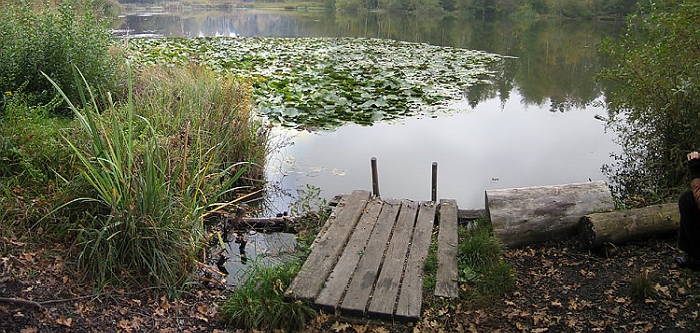 Fischbacher Mösli