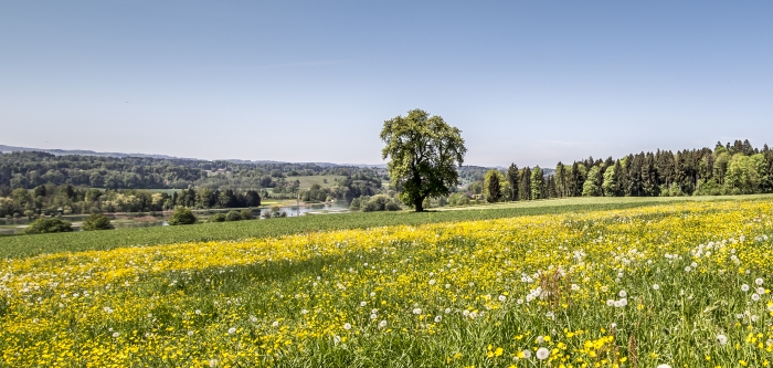 Erholung am Flachsee