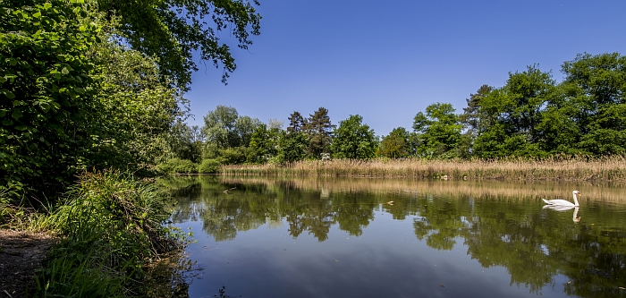 Naturprojekt Hegnau