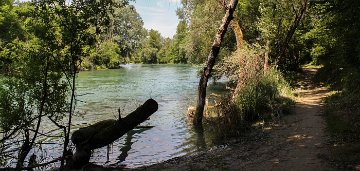 Walking tour to Mellingen